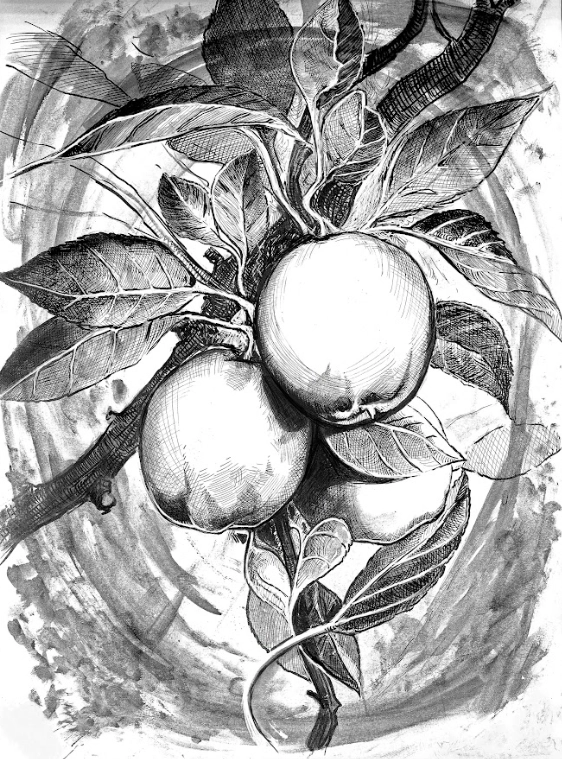 Ilustración de la baraja Chanchos